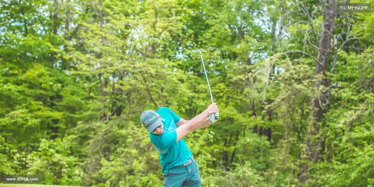 行业领先的理由